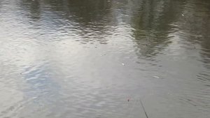 Поездка на Белое озеро