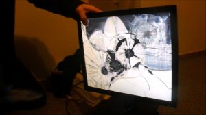 LG LCD Monitor Destruction