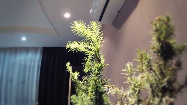 Тест камеры GoPro HD Hero2 смотреть онлайн