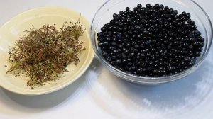 Черноплодная рябина с сахаром. Заготовки на зиму