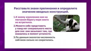 Русский язык. 8 класс. Удивительные факты о животных. Знаки препинания /20.01.2021/