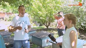 Гибель пчел I Горячая линия