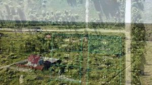 Земельный участок в д. Следово (Ногинский район Московской области)