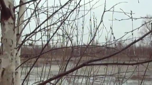 Прогулки с манками (на "картах" торфразработок) смотреть онлайн