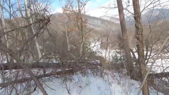 Очередной Изюбрь с отстоя.