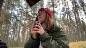 ЛЕСНЫЕ ДАЛИ. Новая экотропа Ленобласти. Гуляю в Шалово-Перечицком заказнике под Лугой