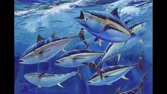 какой день 2 мая - день тунца смотреть онлайн