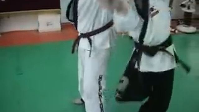 Hapkido Techniques смотреть онлайн