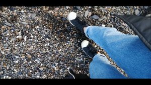 VlogIE 10/ Tralee/ Blennerville Windmill/Город Трали/ Дикий пляж/ Ирландия #CURLY_TRAVELer