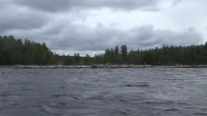 Река Сегежа, сплав 3 - 5 июня 2018