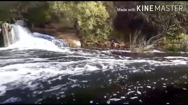 Водопад на Хопре. с. Чеботаевка. Колышлейский район.