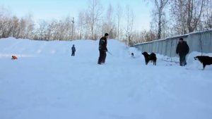 Банхар. Тренировки по защите