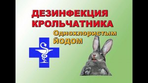 ДЕЗИНФЕКЦИЯ КРОЛЬЧАТНИКА СО СПЕЦЭФФЕКТАМИ: ОДНОХЛОРИСТЫЙ ЙОД