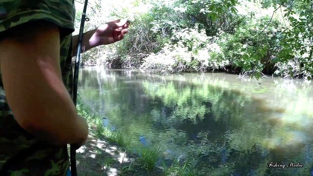 Голавль на майского жука на малой реке. Уехал в заросли подальше от города. смотреть онлайн