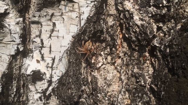 Озеро Увильды Челябинская область смотреть онлайн