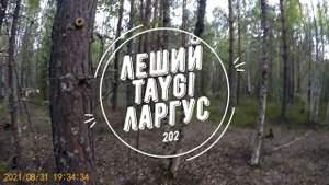 Ларгус дёргался на 2 и 3 передачах при наборе скорости.
