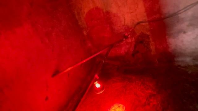 10-12-2023 смотреть онлайн