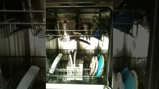 Bocsh Dishwasher repair Los Angeles 800-315-9134