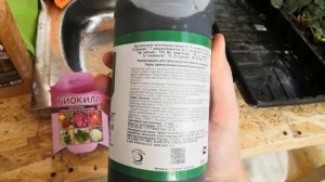 Борьба с трипсом и земляничным клещом. Серия 2. Обработка биокиллом, тиовит джетом, силиплантом.