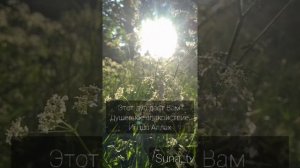 ЭТО ДУА даст ВАМ ДУШЕВНОЕ СПОКОЙСТВИЕ, Ин ша АЛЛАХ