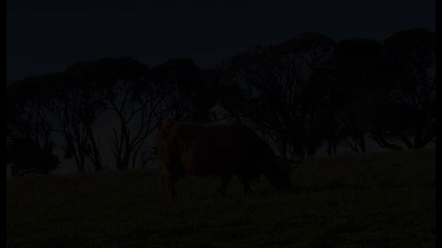 TOP 30 PHILLIP ISLAND Attractions (Things to Do & See) смотреть онлайн