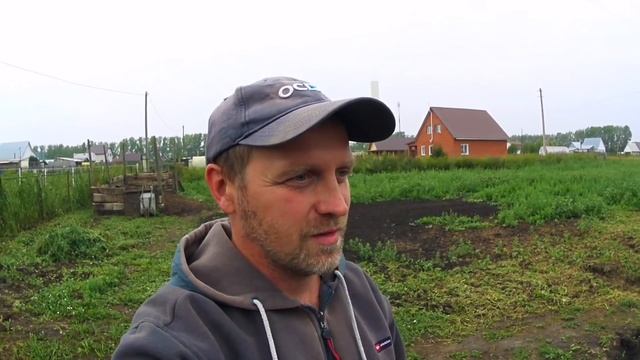 Какую породу свиней выбрал я и почему /ландрас /пьетрен / КБ / дюрок смотреть онлайн