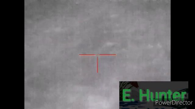 Ночная охота на кабана...#охота #охотавроссии #охотанакабана #ночнаяохота