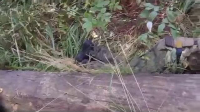 tactic pro: Тактика ведения Боя малыми группами