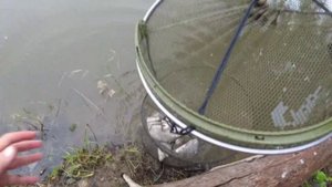 Рыбалка на реке Обь. Шегарский район. Поиски и скитания по большой воде.