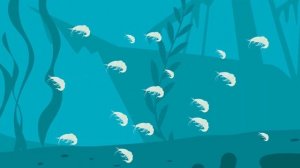 Что происходит с вашим телом на дне океана