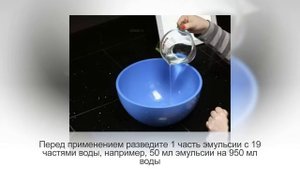 ТРИПСЫ на комнатных растениях. НАРОДНЫЕ средства борьбы