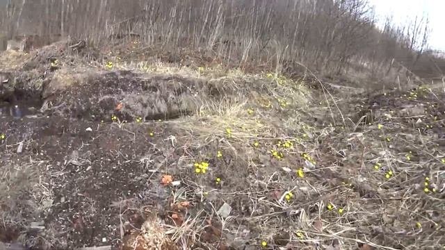 Монастырь Радово | Разрушенный лесозавод | Поселок на окраине города