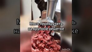 Чем кормить мейн-куна? Мясной микс с тыквой и ламинарией.