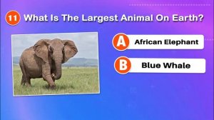 Trivia Quiz For Kids | Daily Trivia Quiz | Trivia Questions For Kids | Nice Quiz