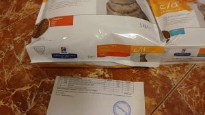 VLOG КОШКИ: ЛЕЧЕНИЕ МУРЗИКА, ЗАКАЗ ПРОФИЛАКТИЧЕСКОГО КОРМА