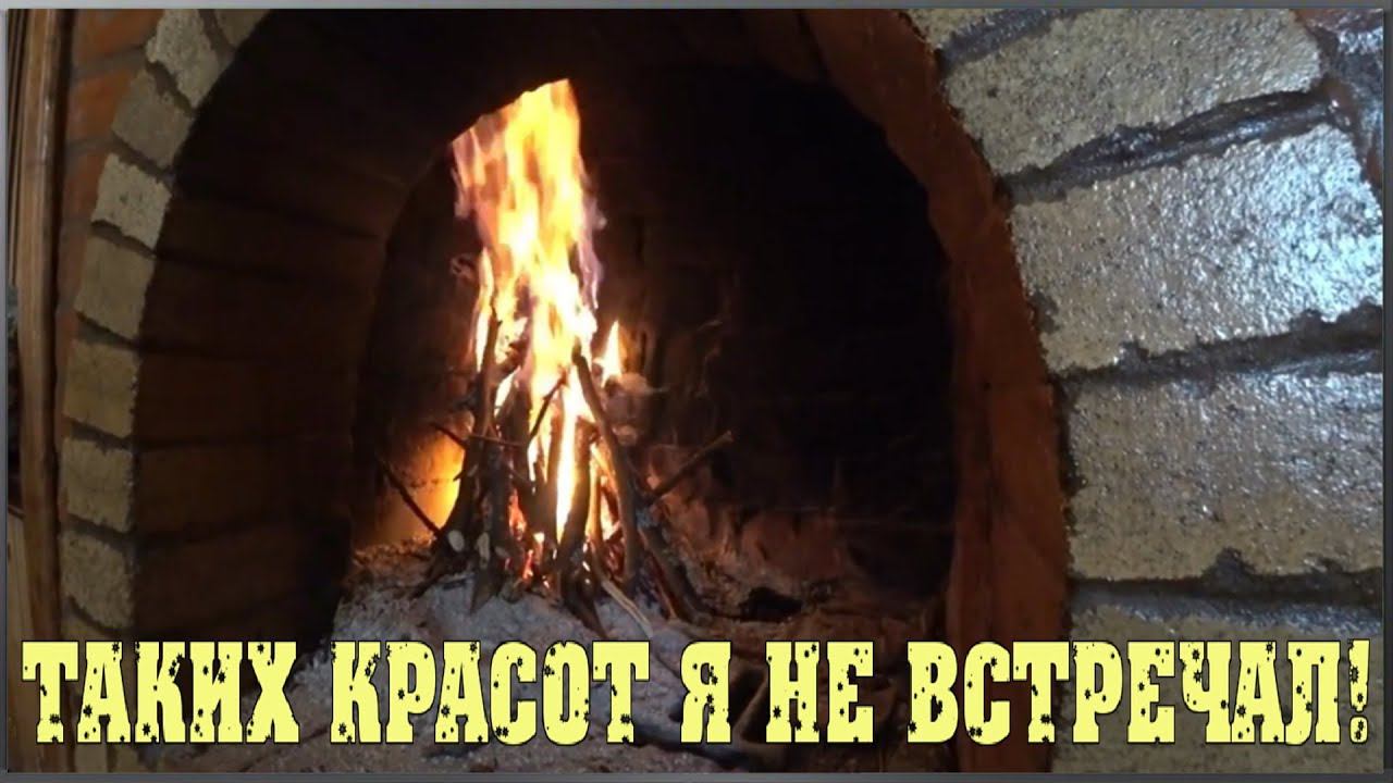 Поездка на дачу Андрея / Таких красот я ещё не видел... / Семья в деревне