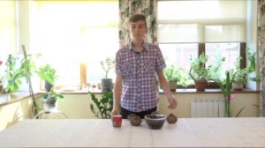 Растение Селагинелла (Иерихонская роза) может жить без воды 100 ЛЕТ! БотаникLIVE