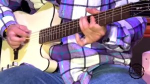 John Hiatt owned Washburn SBT-21 - celebrity guitar