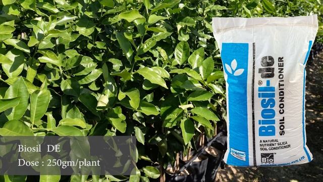 Citrus Cultivation with Biocare India Pvt. Ltd. смотреть онлайн