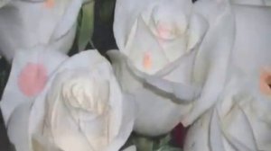 Белые розы(Ремикс)