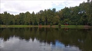 Две суточных нормы вылова осетра за три часа рыбалки! Нижний пруд. Клёвое место лосиный остров.