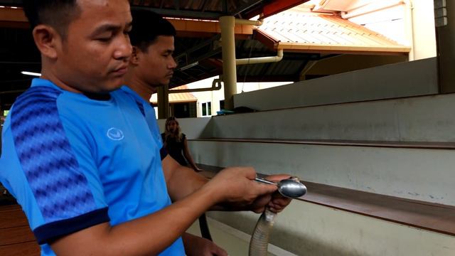 Яд кобры на ложечке, кто желает попробовать? смотреть онлайн