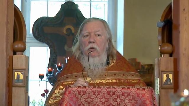 Проповедь в Неделю 6-ю по Пасхе, о слепом. Димитрий Смирнов