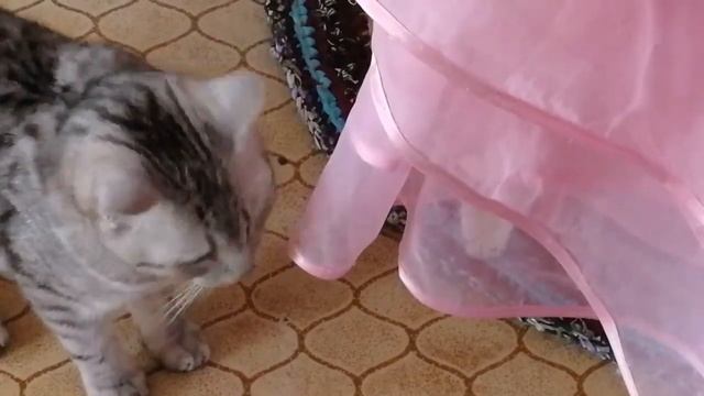 Сломался пылесос  Выкинула ковёр Обычный день женщины в деревне