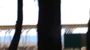 Дивноморское-военный санаторий