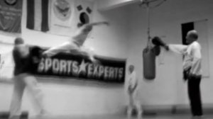 austrian sin moo hapkido airkicks