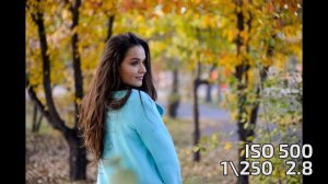 Обзор объектива Tamron AF 90mm f 2.8 SP Di macro