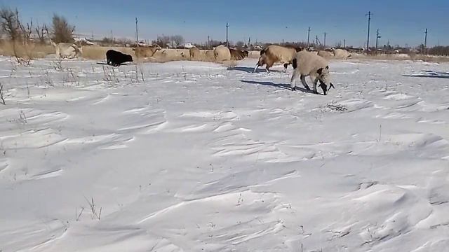 24 января 2024 г. (1).mp4 смотреть онлайн