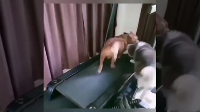 Подготовка к лету идёт полным ходом? смотреть онлайн