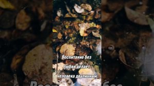 Благословенного дня! Христианское пожелание!